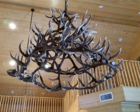 Lucky Pig Lodge Interior